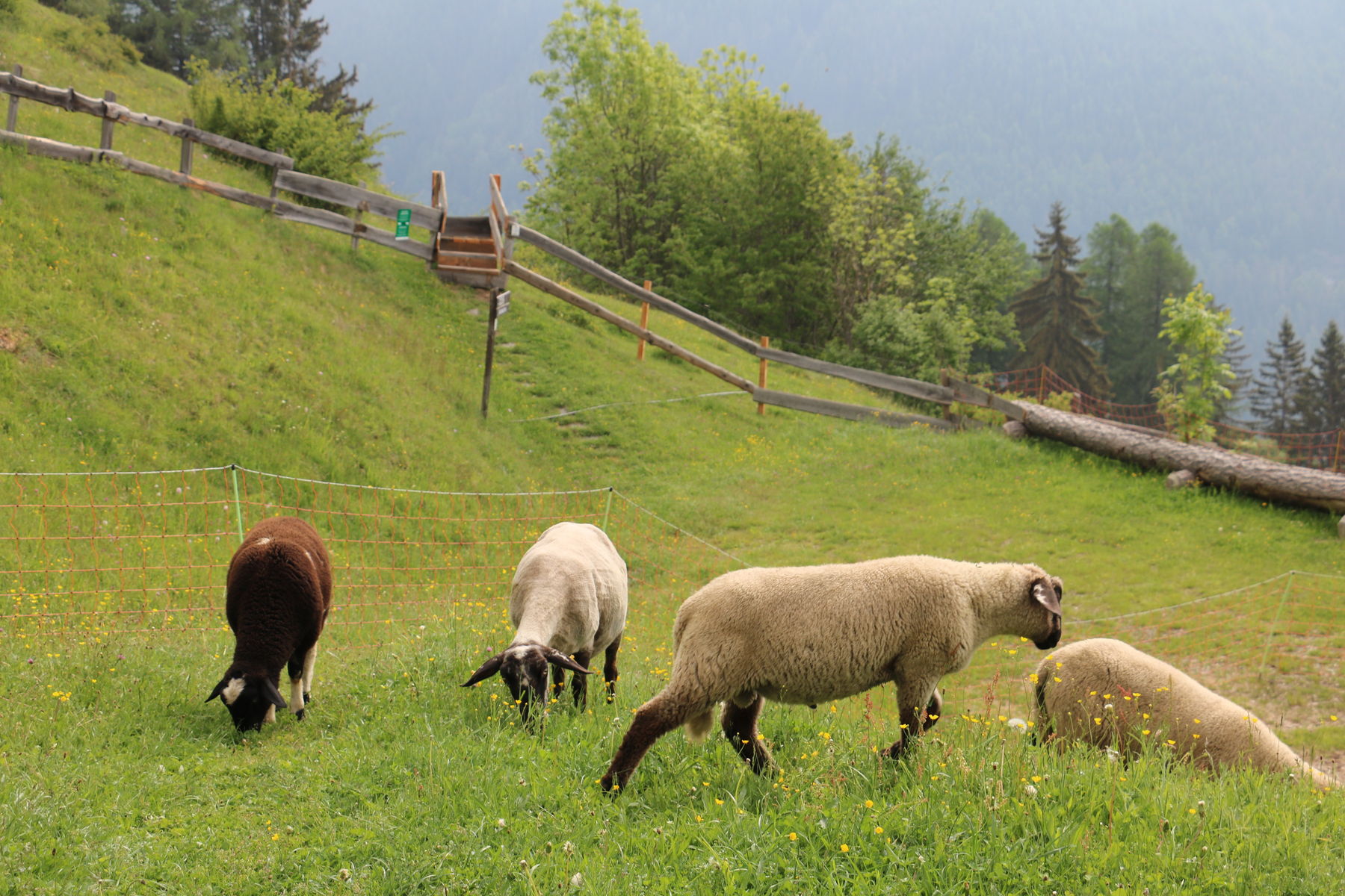 © LK Kärnten/Wilfried Pesentheiner